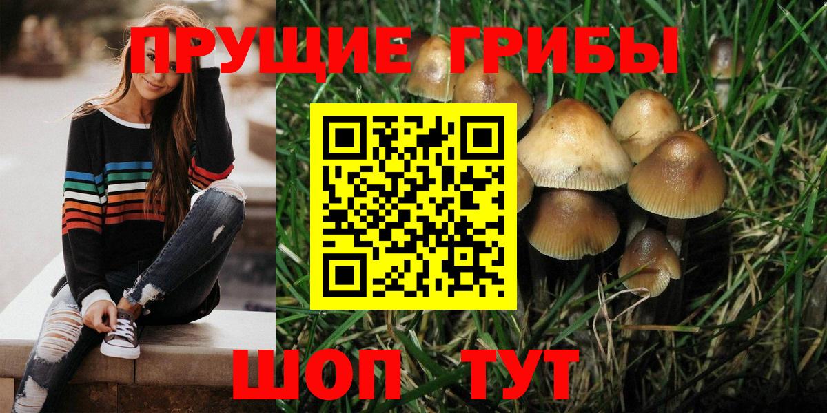 Галлюциногенные грибы ЛСД  Псилоцибиновые грибы Psilocybe  Вход с VPN  Владимир 