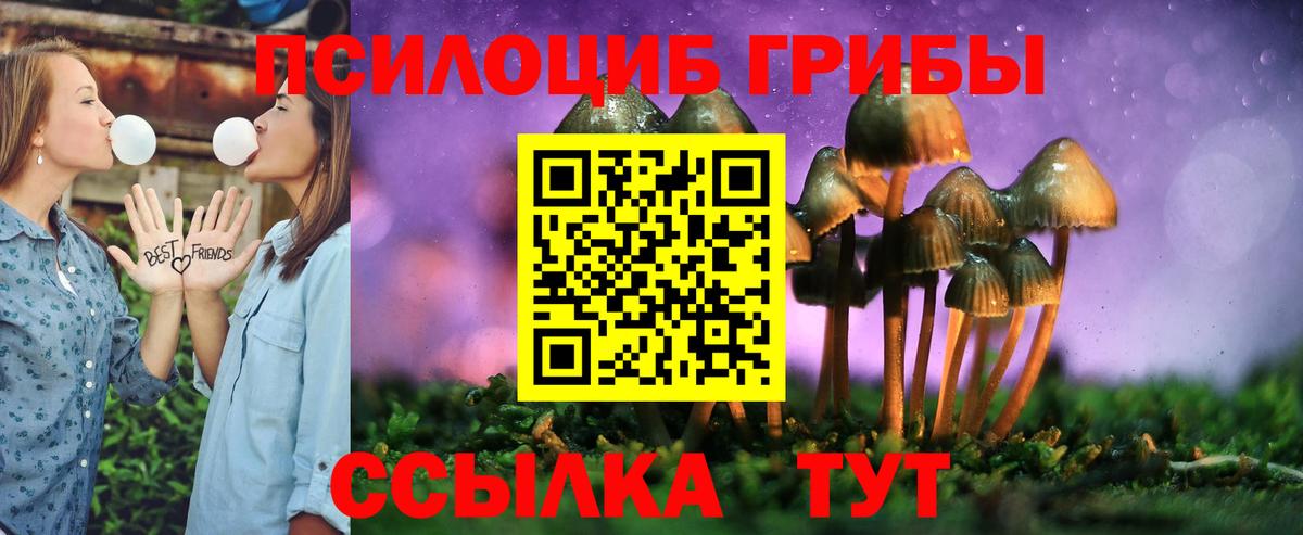 Псилоцибиновые грибы GOLDEN TEACHER Владимир